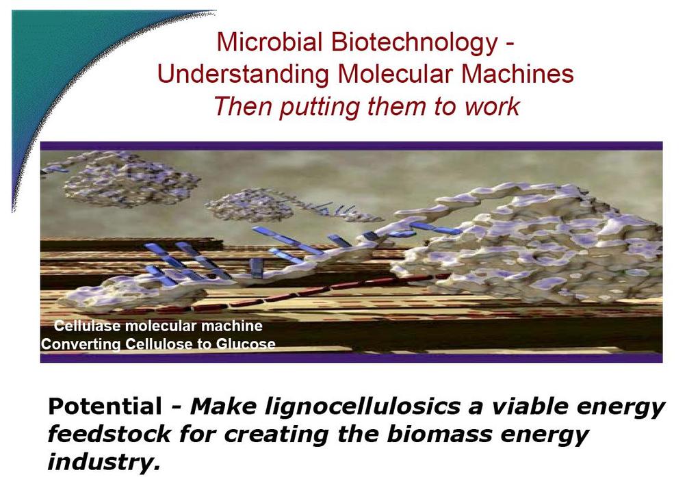 Biotecnología microbiana Entender las maquinas moleculares para ponerlas a trabajar