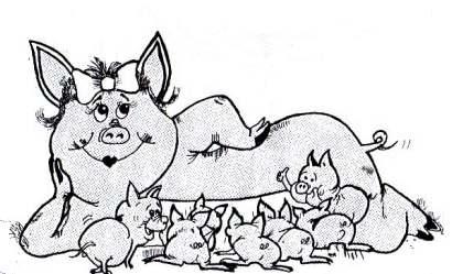 14 Crianza de Porcinos La duración del parto es de 2 a 6 horas, el nacimiento de los lechones es a un intervalo de 12 a 16 minutos, casi siempre la placenta es expulsada al salir el ultimo lechón.