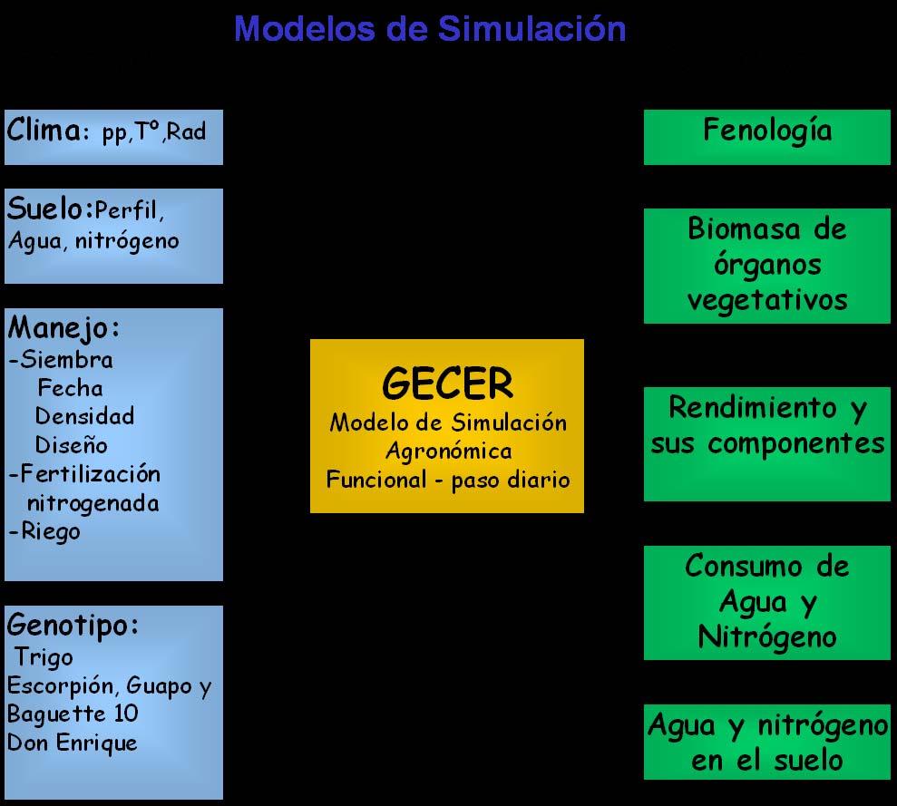 Uso de modelos de simulación para el manejo de la fertilización nitrogenada E.