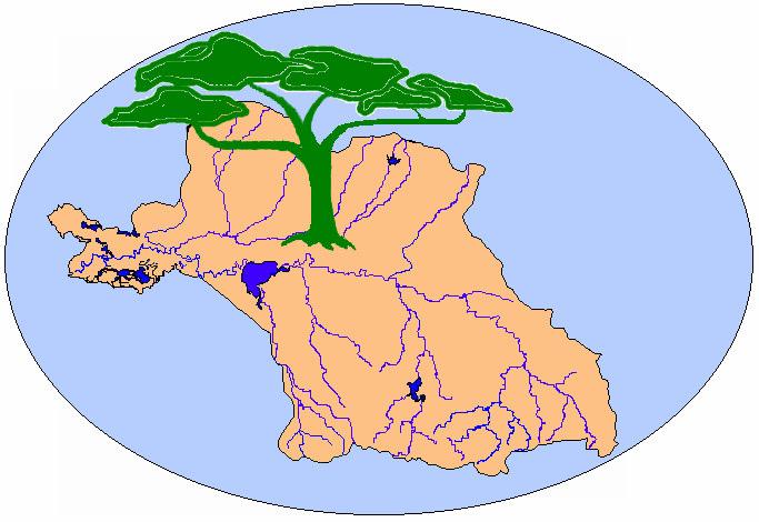 1996 1er Órgano de Cuenca en Cauto Creación de la Oficina Coordinadora Río más importante de Cuba con una cuenca superficial de 9 540 km² que representa el 8% del territorio nacional.