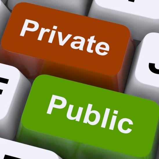 Por qué otra plataforma? Acelerar la creación de asociaciones público-privadas, ya que puede operar también fondos del sector privado.