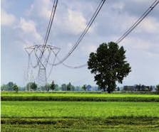 En ella se detallan los proyectos de nuevas infraestructuras eléctricas que se deben acometer en todo el territorio nacional, bajo los principios de transparencia y de mínimo coste para el conjunto