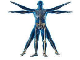 ANTROPOMETRÍA Antropometría es una de las áreas que fundamentan la ergonomía, y trata con las medidas del cuerpo humano que se refieren al tamaño del cuerpo, formas, fuerza y capacidad de trabajo.