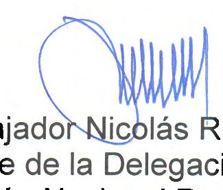 Sección Nacional Ecuatoriana de la Embaja~oncagliolo, Jefe de la Delegación de la