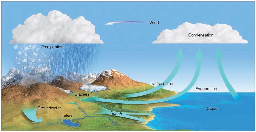 5.1) Introducción al ciclo hidrológico Factores que hacen del agua un elemento importante dentro del balance energético del sistema climático: Liberación de energía (calor latente) en los procesos de
