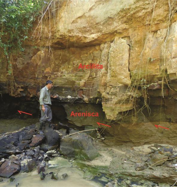 inferior; en la parte superior tenemos arcillitas resistentes a la erosión (foto 7 y 8).