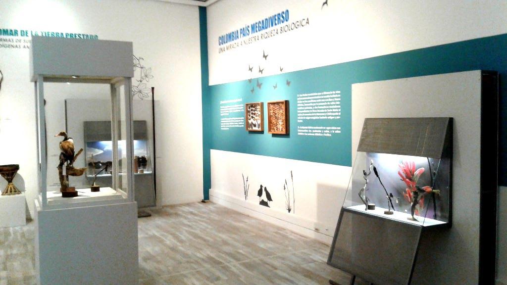 NOVEDADES EN HISTORIA NATURAL BOLETÍN CIENTÍFICO CENTRO DE MUSEOS MUSEO DE HISTORIA NATURAL a.