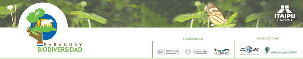 Proyecto Mejorando la Conservación de la Biodiversidad y el Manejo Sostenible de la Tierra en el Bosque Atlántico del Paraguay Oriental - Paraguay Biodiversidad" Acuerdo de Donación GEF N TF096758