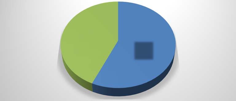 Civil 43% Penal 57% Penal Civil 2. Servicio de Notificaciones.