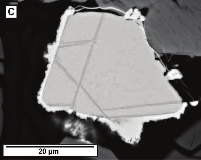 (c) Cristal de titanomagnetita de la matriz (muestra RJ 12) con textura de tipo Trellis, exoluciones de ilmenita, de color más oscuro, en los planos (111) de la titanomagnetita.