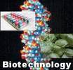 BIOETHICS Advances in biotechnology will give rise to problems, issues and concerns humans have never before faced: * Safety of Genetically Engineered