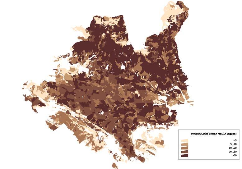 Figura 2. Producción bruta media anual (kg/ha) de las principales especies fúngicas en la comarca de Urbión La superficie productora en Urbión es de 144.951 hectáreas Tabla 1.