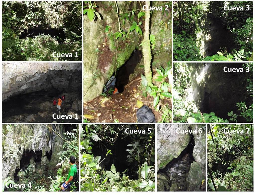 La cueva 3 es un pozo de unos 50-60 metros de profundidad. Se escucharon muchos Huacharos en este pozo. La cueva 5 es un pozo de unos 30-35 metros de profundidad.