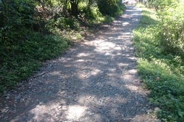 En términos generales la vía está en buen estado, con cunetas en algunos tramos en tierra natural, y su uso está