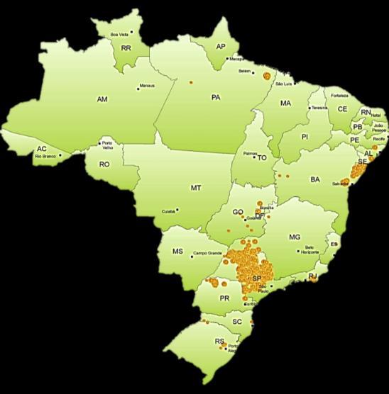La citricultura brasileña BRASIL Área citrícola 1 : 759 mil ha Municipios 1 : 3.016 (Total 5.570) Ingresos de la cadena citrícola 2 : R$ 47.
