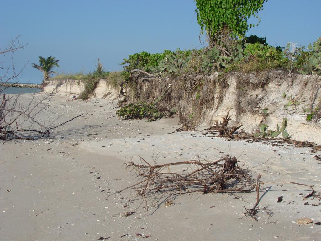 Objetivos específicos Evaluar la preferencia de sitio de anidación considerando dos playas: con erosión y sin erosión