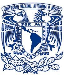 UNIVERSIDAD NACIONAL AUTÓNOMA DE MÉXICO DIRECCIÓN GENERAL DE LA ESCUELA NACIONAL COLEGIO DE CIENCIAS Y HUMANIDADES SECRETARÍA