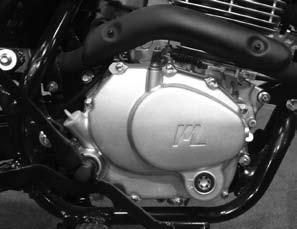 ACEITE DEL MOTOR Compruebe diariamente el nivel de aceite del motor, antes de conducir la motocicleta.