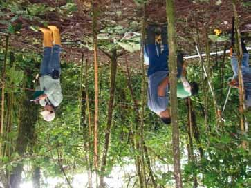De acuerdo a la metodología empleada por el Botánico Carlos Cerón (2005), para bosque húmedo premontano recomienda establecer 5 transectos de 50 x 4 metros.