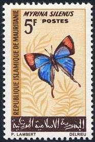 1966 Marzo 10 : Mariposas (4