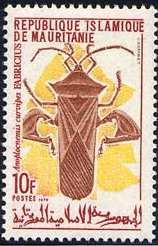 Coleoptera : Buprestidae :
