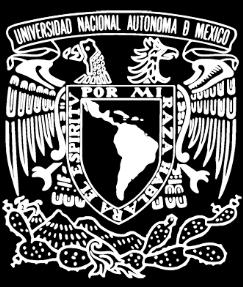 UNIVERSIDAD NACIONAL AUTÓNOMA DE MÉXICO FACULTAD DE INGENIERÍA PROYECTO DE MODIFICACIÓN DEL PLAN DE