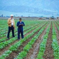 Buenas Prácticas Agrícolas Good Agricultural Practices (GAPs) Prevenir un