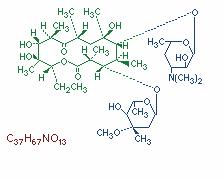 Eritromicina Estructura Química