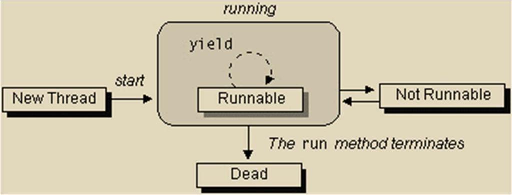 Ciclo de vida de un hilo El campo de acción de un hilo lo compone la etapa runnable, es decir, cuando se está ejecutando (corriendo) el proceso ligero.