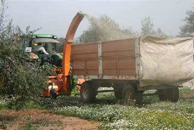 Barreras y limitaciones: LOGÍSTICA Valoración económica de la recogida de poda de olivo en diferentes escenarios Precio biomasa, /ton