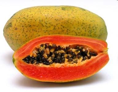 SEGUNDA ETAPA: LA PAPAYA (Carica papaya) m F f