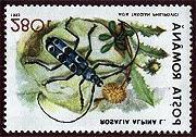 1993 Junio 30 : Fauna (2 de 6 val.) (Scott : 3833-3834). Limenitis populi. Coleoptera : Cerambycidae : Rosalia alpina.