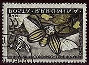 1956 Julio 30 : Campaña contra plagas insectiles (4 valores) (Y & T : xxx) (Scott : 1103-1106). 10 b Lepidoptera : Pieridae : Aporia crataegi.