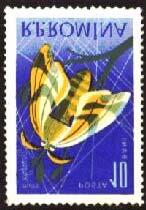 1963 Diciembre 12 : Insectos (8