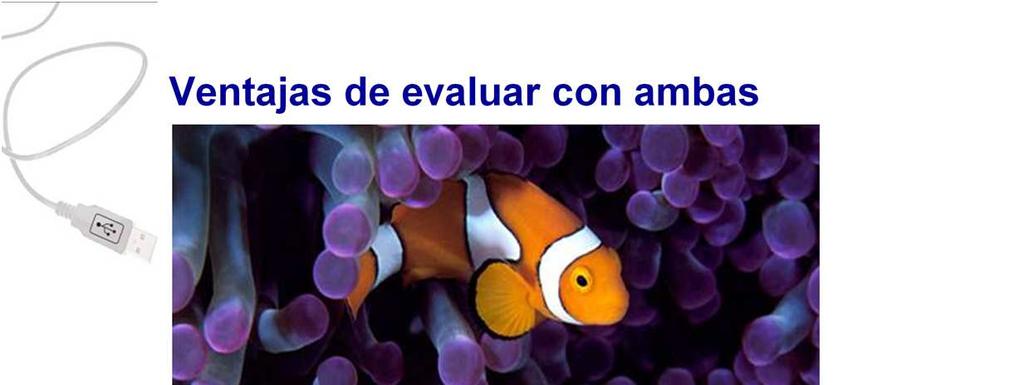 La simbiosis es claramente reflejada en la vida de los peces payasos y las anémonas. Para la anémona es mejor dos peces que uno.