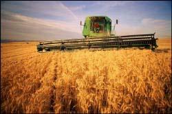inmenso aumento de la producción de alimentos para animales, así como a cosechas de granos con alto valor