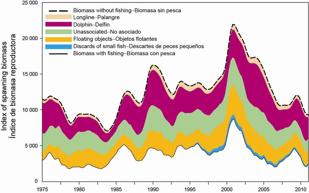 ANNUAL REPORT 2010 91 FIGURE 24. Biomass trajectory of a simulated population of yellowfin tuna that was never exploited (dashed line) and that predicted by the stock assessment model (solid line).
