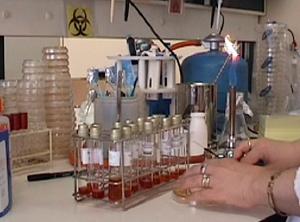 El kit contiene una serie de pruebas de producción de ácido a partir de sustratos