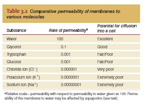 Permeabilidad de la membrana citoplasmática (MC) Permeable a: gases (O 2, CO 2, NH 3 ), moléculas pequeñas (agua, etanol), moléculas liposolubles (glicerol, ac.