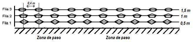 Figura 6. Marco de plantación lineal de zonas ajardinadas junto a las de paso (O. Segura).