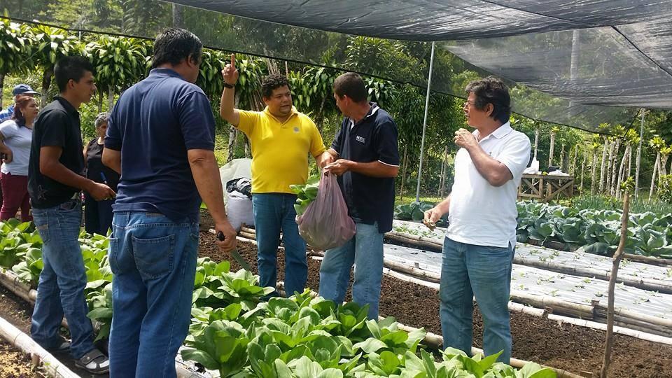 Proyecto Seguridad Alimentaria San Vicente de San Carlos o Proponer un plan de capacitación en el área de turismo y gastronomía acorde a los requerimientos de la comunidad.