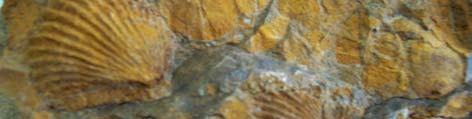 Clave litológica escala 1:500,000: Carta Tamaulipas: PsPp Ar-Cgp-Cz (Clave homologada para el Paleozoico sedimentario del Anticlinorio Huizachal-Peregrina, Tamaulipas) Localidad tipo: En el Cañón de