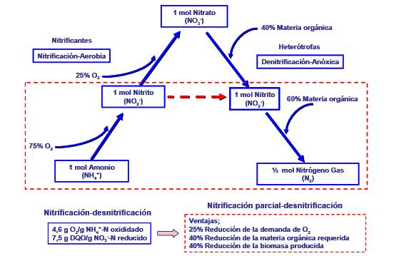 Figura 2.5: Comparación entre los procesos nitrificación-desnitrificación y nitrificación parcialdesnitrificación (Van Kempen et al., 2001).