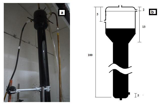Figura 3.1: (a) Fotografía del reactor EGSB; (b) esquema del reactor EGSB [cm] utilizados en este estudio. El volumen útil corresponde a la suma del volumen del cuerpo y el volumen útil de la campana.
