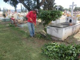 Se realizo la poda de pasto y plantas de ornato en todo el Cementerio