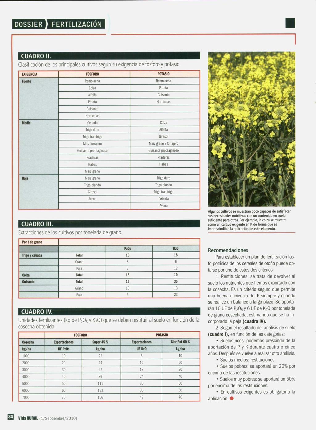 CUADRO II. Clasificación de los principales cultivos según su exigencia de fósforo y potasio.