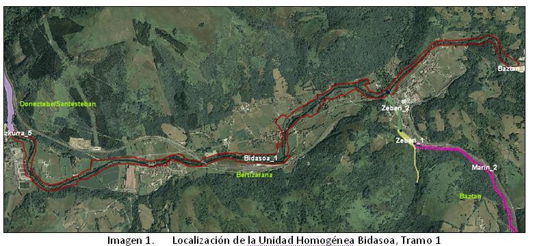 Diagnosis tramos prioritarios de restauración especificados en el Plan de restauración ecológica del río Bidasoa en Navarra del proyecto
