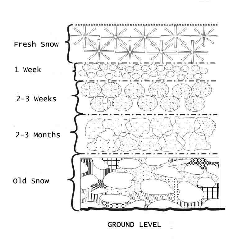 Compactación de Nieve Nieve Fresca 1 semana 2 3 semanas
