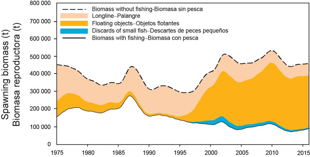 FIGURE D-4. Trajectory of the spawning biomass of a simulated population of bigeye tuna that was not exploited (top line) and that predicted by the stock assessment model (bottom line).