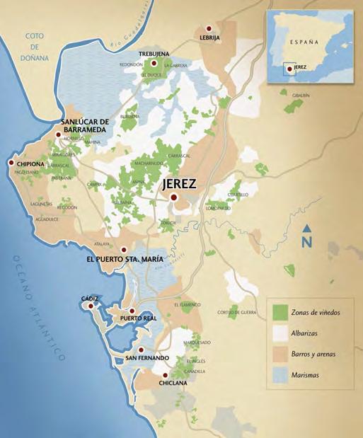 LA ZONA DE PRODUCCIÓN La Zona de Producción de las Denominaciones de Origen Jerez, Manzanilla y Vinagre de Jerez (el llamado comúnmente Marco de Jerez ) se extiende a lo largo de ocho términos